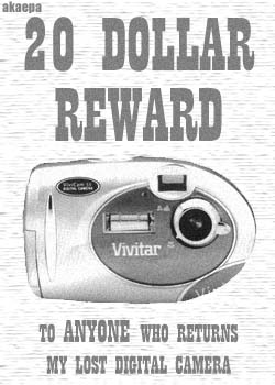 20 dollar reward to ANYONE who returns my lost camera